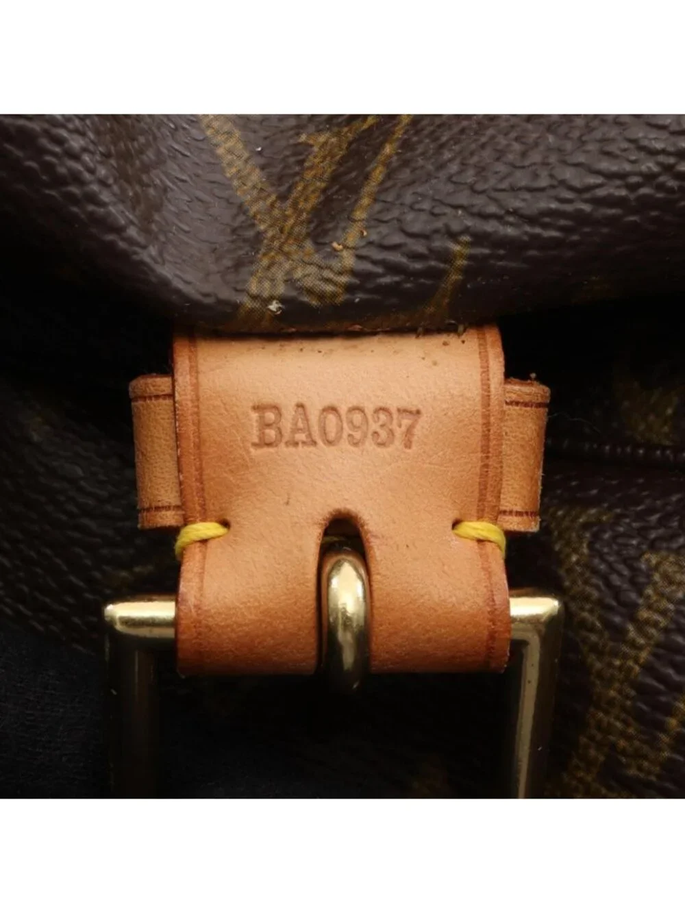 Louis Vuitton Backpack Montsouris GM Canvas Leather